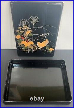 Antique, Japanese Lacquer Large Box Maki-e, 19th Century, 31 cm / 12.2 Inch
